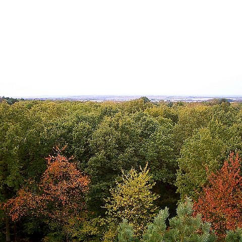 Northampton